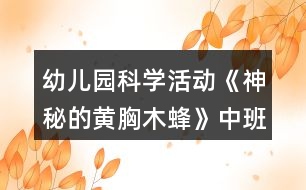 幼兒園科學活動《神秘的黃胸木蜂》中班教案反思