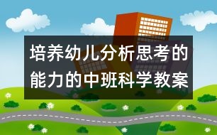 培養(yǎng)幼兒分析思考的能力的中班科學(xué)教案《磨豆?jié){》