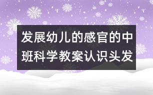 發(fā)展幼兒的感官的中班科學(xué)教案：認(rèn)識(shí)頭發(fā)