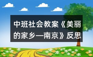 中班社會教案《美麗的家鄉(xiāng)―南京》反思