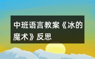 中班語言教案《冰的魔術》反思