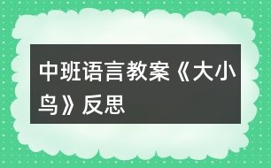 中班語言教案《大小鳥》反思