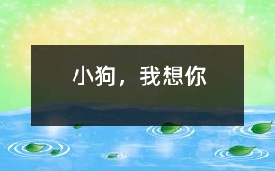 小狗，我想你