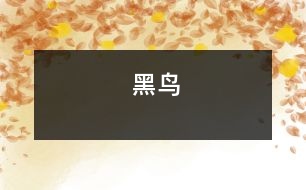 黑鳥(niǎo)