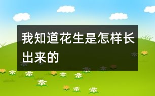 我知道花生是怎樣長(zhǎng)出來的