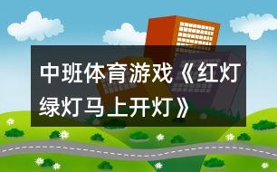 中班體育游戲《紅燈、綠燈、馬上開燈》反思