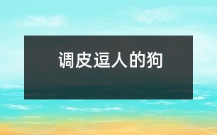 調(diào)皮逗人的狗