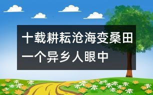 十載耕耘滄海變桑田——一個異鄉(xiāng)人眼中順德的變遷