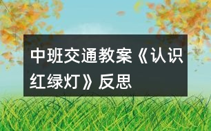 中班交通教案《認識紅綠燈》反思