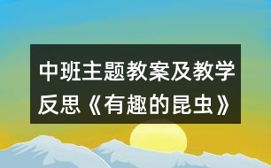 中班主題教案及教學反思《有趣的昆蟲》