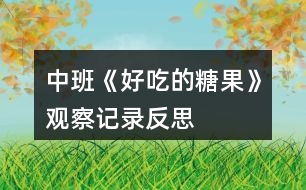 中班《好吃的糖果》觀察記錄反思