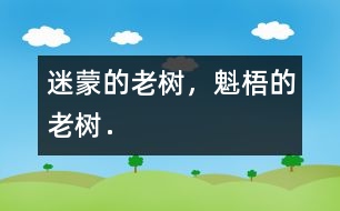 迷蒙的老樹，魁梧的老樹．
