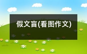 假文盲(看圖作文)