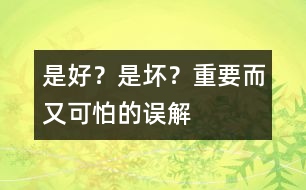 是好？是壞？——重要而又可怕的誤解