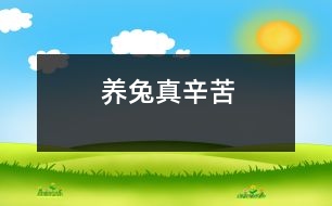 養(yǎng)兔真辛苦