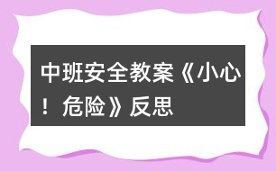 中班安全教案《小心！危險》反思