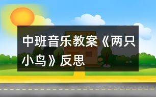 中班音樂教案《兩只小鳥》反思