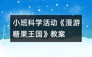 小班科學(xué)活動(dòng)：《漫游糖果王國(guó)》教案