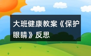 大班健康教案《保護眼睛》反思