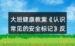 大班健康教案《認識常見的安全標記》反思