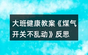 大班健康教案《煤氣開關(guān)不亂動(dòng)》反思