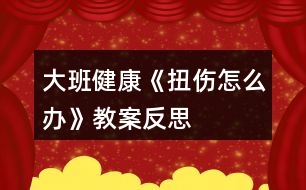 大班健康《扭傷怎么辦》教案反思