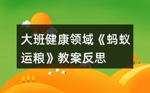 大班健康領(lǐng)域《螞蟻運(yùn)糧》教案反思