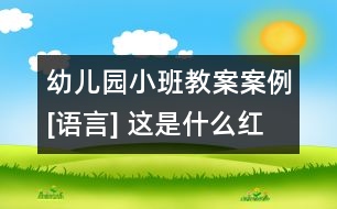 幼兒園小班教案案例[語(yǔ)言] 這是什么紅