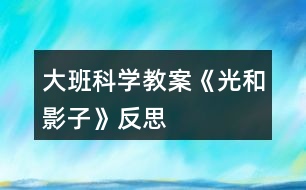 大班科學教案《光和影子》反思