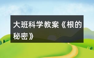 大班科學教案《根的秘密》