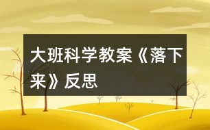 大班科學(xué)教案《落下來(lái)》反思