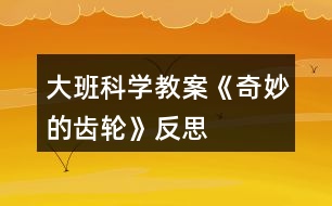 大班科學教案《奇妙的齒輪》反思