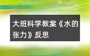 大班科學(xué)教案《水的張力》反思