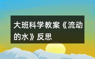 大班科學(xué)教案《流動的水》反思