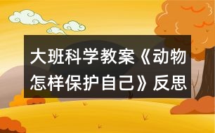 大班科學(xué)教案《動物怎樣保護自己》反思