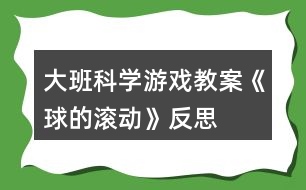 大班科學(xué)游戲教案《球的滾動》反思