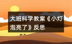 大班科學教案《小燈泡亮了》反思