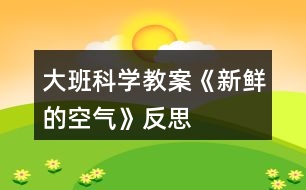 大班科學教案《新鮮的空氣》反思