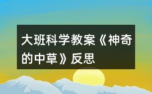 大班科學(xué)教案《神奇的中草》反思