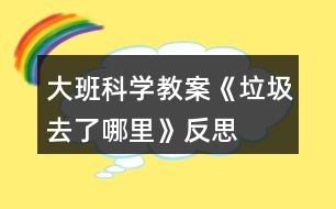 大班科學(xué)教案《垃圾去了哪里》反思