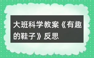 大班科學教案《有趣的鞋子》反思