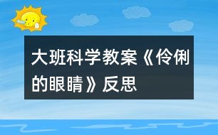 大班科學教案《伶俐的眼睛》反思