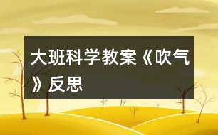 大班科學教案《吹氣》反思