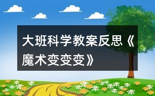 大班科學教案反思《魔術變變變》