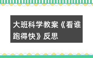 大班科學(xué)教案《看誰跑得快》反思