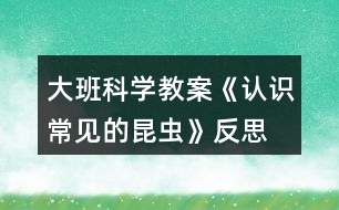 大班科學(xué)教案《認(rèn)識(shí)常見(jiàn)的昆蟲(chóng)》反思