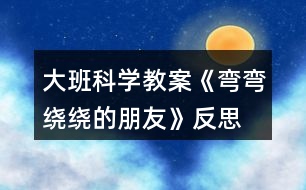 大班科學(xué)教案《彎彎繞繞的朋友》反思