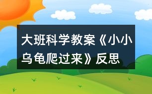 大班科學(xué)教案《小小烏龜爬過來》反思