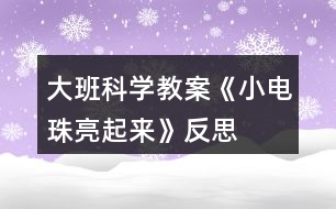 大班科學教案《小電珠亮起來》反思