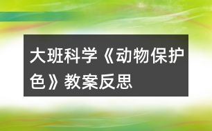 大班科學(xué)《動(dòng)物保護(hù)色》教案反思